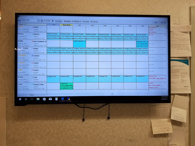 veterinary monitor
