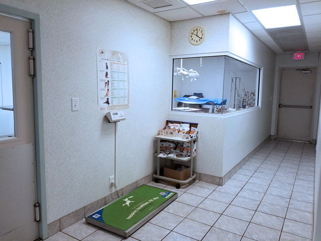 Veterinary building