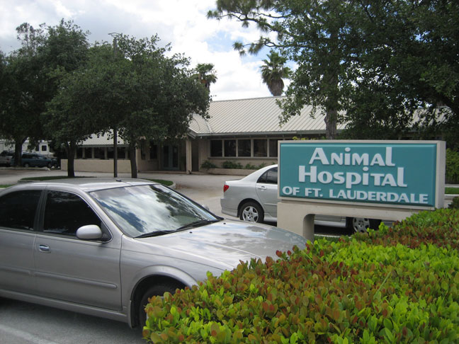 Parking lot outside veterinary clinic