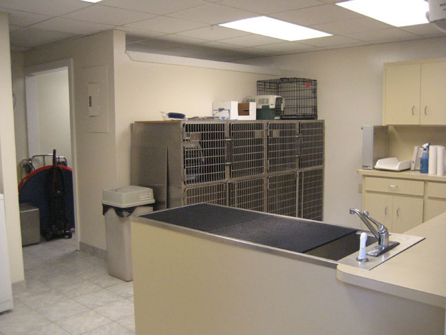 Kennel area with clean counters
