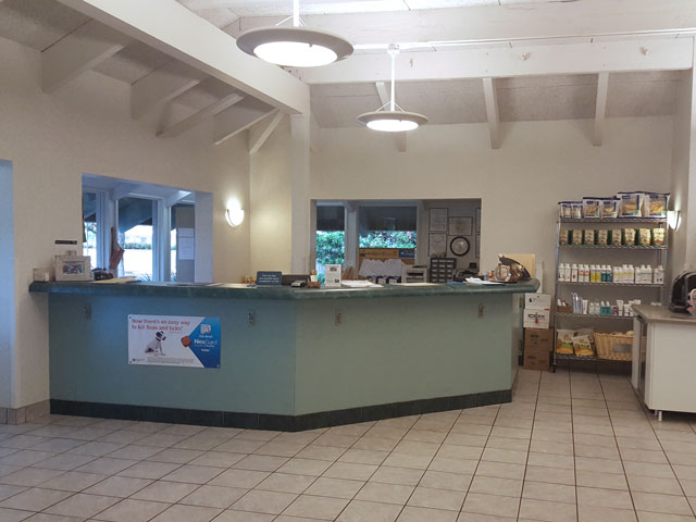 Reception desk with open layout