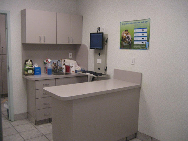 veterinary picture
