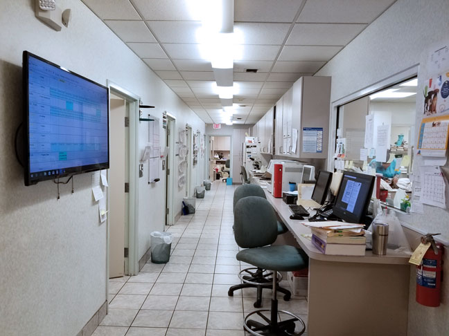 veterinary hall