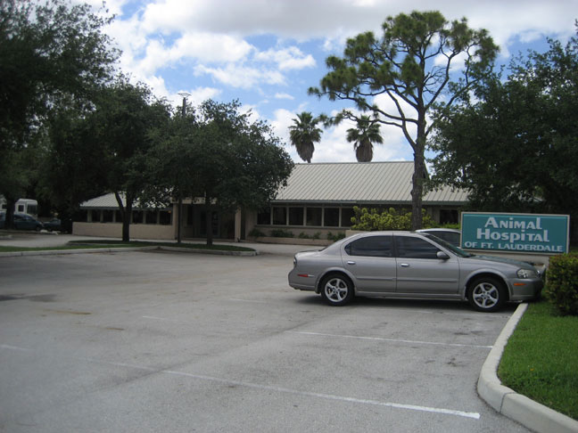 Parking lot with clinic sign