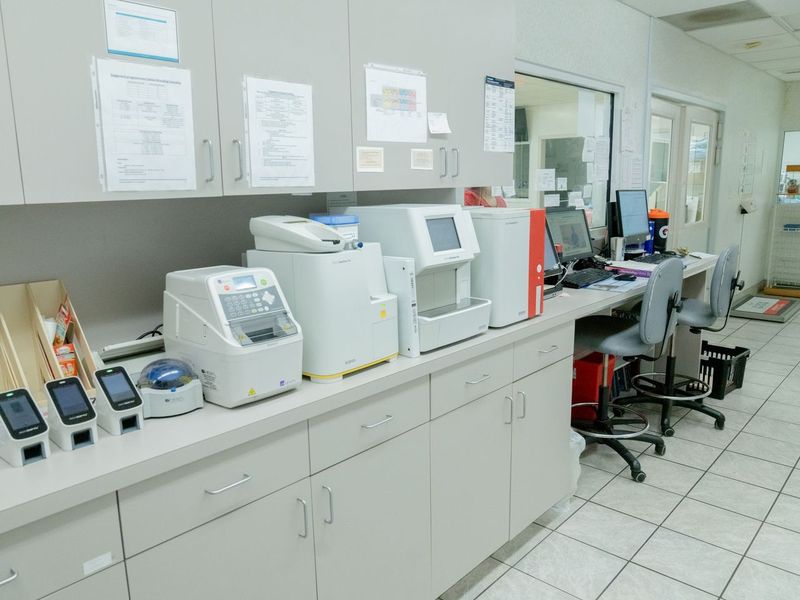 Veterinary laboratory with medical equipment