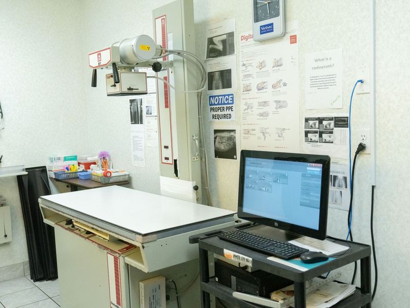 X-ray machine in a veterinary examination room