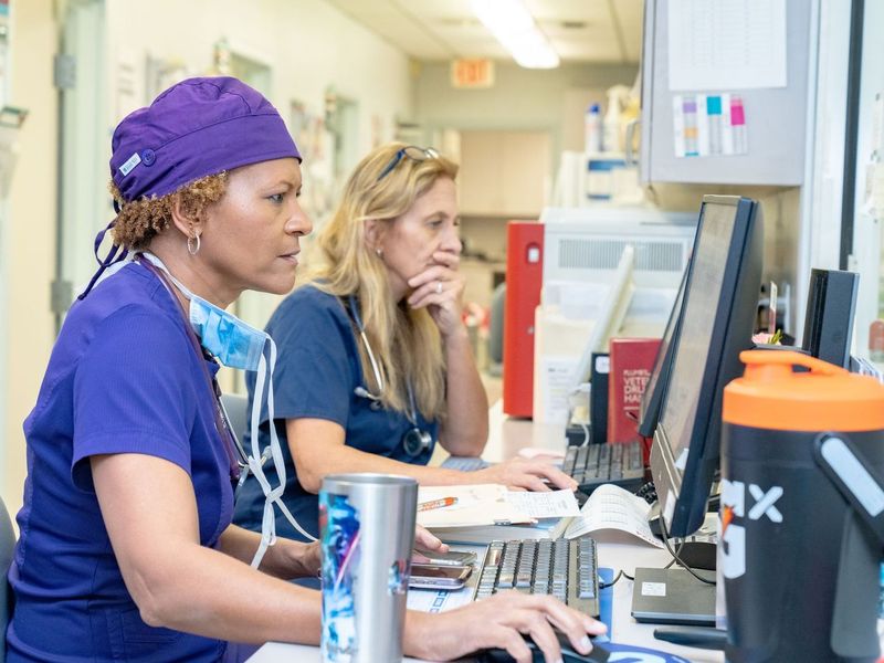 Veterinarian using a computer