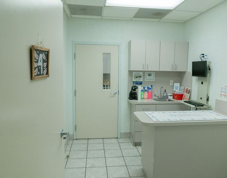 Veterinary clinic backroom with a closed door