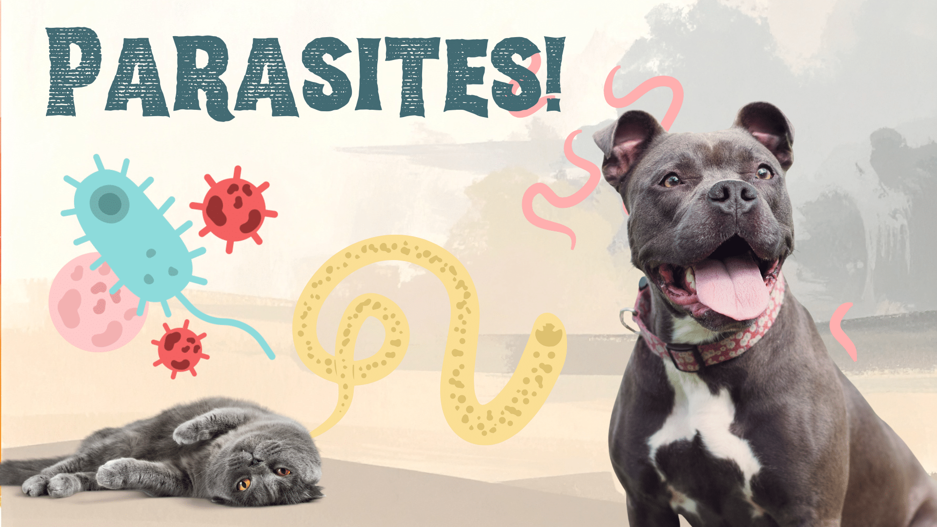 Dogs and cat surrounded by parasites in Fort Lauderdale, FL