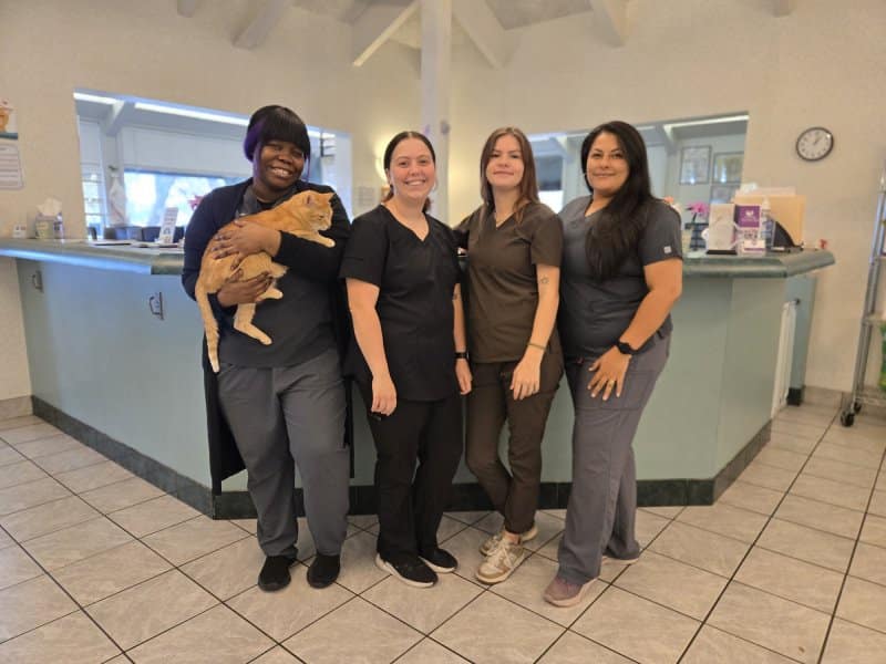 Group of veterinary staff posing at the reception.