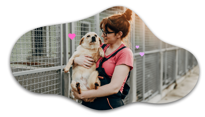 Adopting a shelter pet with support from Animal Hospital of Fort Lauderdale in Fort Lauderdale