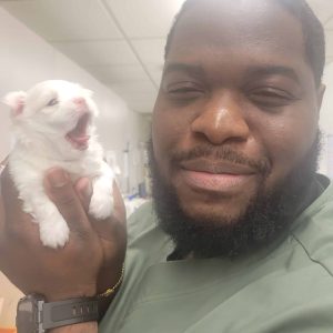Staff member holding a tiny puppy