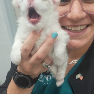 Close-up of a staff member with a puppy