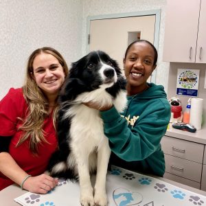 Vet holding a large dog with a smile