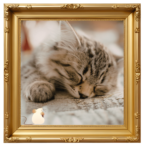 A framed photo of a sleeping cat to preserve memories with Animal Hospital of Fort Lauderdale in Fort Lauderdale, FL